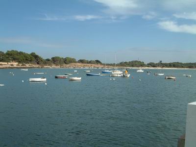 DSCF0117.JPG